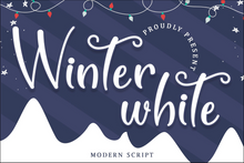 Load image into Gallery viewer, Christmas Font Bundle